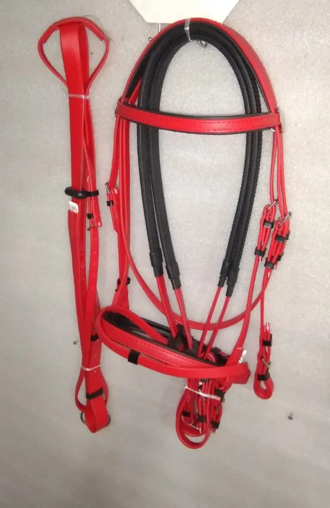 bridle with reins and martingale